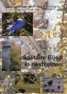 thumbnail - Solitaire bijen in nestkasten